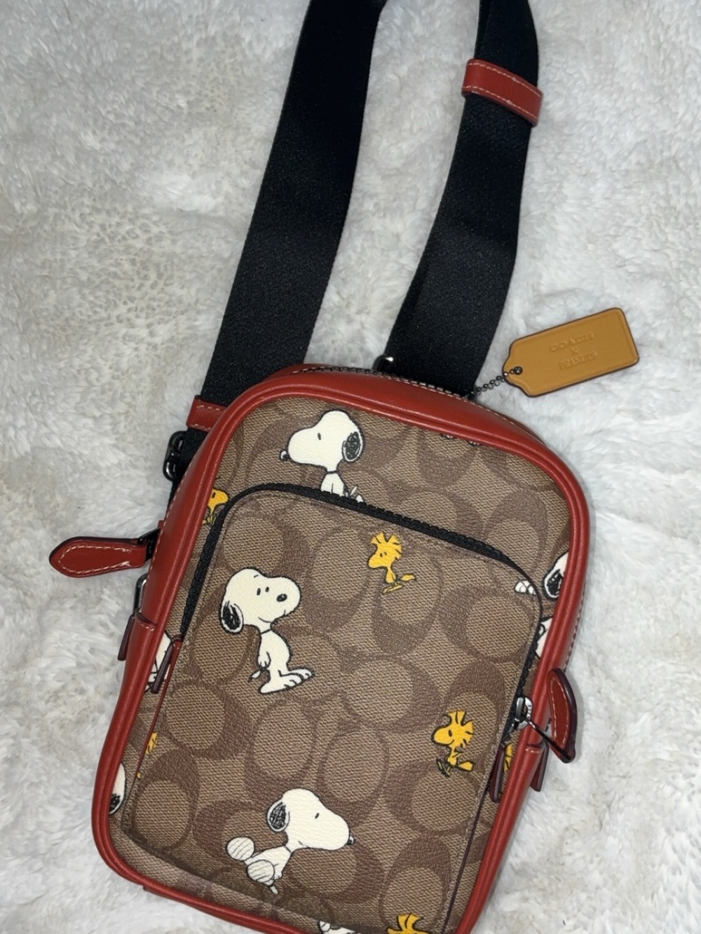 Coach x Peanuts